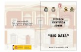“BIG DATA” Acto conjunto Reales Acade… · “Big data: Impacto en la Sociedad” !! Dr.!D. Ángel Alonso Sánchez Representante por la Real Academia Nacional de Medicina de