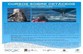 CURSOS SOBRE CETÁCEOS · 2018. 4. 4. · CURSOS SOBRE CETÁCEOS Instituto Politécnico F.P. Marítimo-Pesquero de Lanzarote Junio - diciembre de 2018 Recientemente se han cumplido