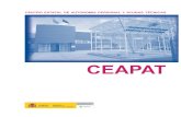 CEAPAT - SID · 2017. 3. 22. · • El CEAPAT actúa como centro tecnológico para los Programas del Ministerio de Educación, Política Social y Deporte (Convenios sobre Accesibilidad,