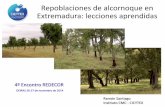 Repoblaciones de alcornoque en Extremadura: lecciones aprendidas · 2015. 4. 20. · con alcornoque en Extremadura 0 10 20 30 40 50 60 70 80 90 100 110 120 130 140 150 160 170 180