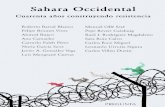 Sahara Occidental · 349 B) La plena aplicación de las reglas del Derecho internacional humanitario al conflicto del Sahara Occidental: la Declaración del 23 de junio de 2015 356