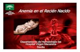 Anemia en el Recién Nacido · La naturaleza de la anemia en el recién nacido es considerada como multifactorial. Suelen tener concentraciones inadecuadamente bajas de EPO. ... Leucemia