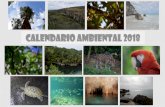 Calendario Ambiental 2013 - Moreliaarchivohistorico.morelia.gob.mx/pdfs/MICROSITIOS...Calendario Ambiental 2013 Author: cisalazar Created Date: 1/29/2018 4:27:10 PM ...