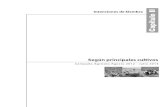 Intenciones de Siembra - Ministerio de Agricultura y Riego...Intenciones de Siembra (Campaña Agrícola 2012 - 2013) 36 Cuadro N° 5 ALGODÓN: INTENCIONES DE SIEMBRA CAMPAÑA 2012-13