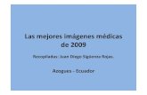 Las mejores imágenes médicas - Monografias.com · 2010. 1. 8. · Las mejores imágenes médicas de 2009 Recopiladas: Juan Diego Sigüenza Rojas. Azogues ‐Ecuador