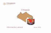 Chiapas - Gob · 2020. 6. 18. · Nacional Chiapas Periodo 19,583,170 220,229 Mayo 2020 Tasa de Desocupación (por ciento) 1/ 2.9 2.6 Marzo 2020 Conflictividad colectiva laboral en