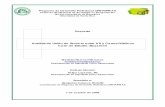 Análisis de Unión de Servicio entre ATI y Carros Públicos Caso de …academic2.uprm.edu/uprati/interns/group_3/propuestas/RUM/... · 2006. 10. 6. · individual es el predominante