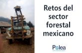Retos del sector forestal mexicano - Cámara de Diputados...Principales retos 1.Reconocimiento como sector económico 2.Fortalecimiento del marco territorial 3.Prioridad en planeación