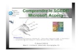 Comprendre le SGBDR Microsoft Accessdcanl.free.fr/Etudes/COURS_IUT_IQ1/BDD/Microsoft Access... · 2006. 10. 9. · ©Richard CHBEIR Email: richard.chbeir@u-bourgogne.fr Comprendre