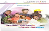 PREMIO · 2020. 9. 10. · El Premio Estatal de la Juventud reconocerá a la juventud mexiquense en las categorías antes mencionadas, tomando en consideración las siguientes modalidades: