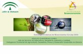 (Nuevo Presentaci n de OpenDocument.odp)fiab.es/es/archivos/documentos/ESTRATEGIA_ANDALUZA...1. Estrategia Europea de Bioeconomía (2012, en revisión Oct 2018) 2. Estados Miembros