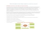 araht471256095.files.wordpress.com€¦  · Web view• Regulación de la presión arterial. • Regulación del equilibrio acidobásico. • Regulación de la producción de eritrocitos.