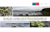 Guía de campo de la flora hidrófila de los lagos araucanos ...los lagos de las regiones australes de Chile. Chile ha dado importantes pasos en la protección de la calidad del agua