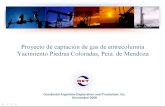 Proyecto de captación de gas de entrecolumna - Yacimiento … · 2017. 7. 28. · Proyecto de captación de gas de entrecolumna - Yacimiento Piedras Coloradas, Pcia. de Mendoza Author: