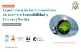 Expectativas de las Cooperativas en cuanto a ......Pirámide de las Finanzas Sostenibles Círculo de las Finanzas Sostenibles. ... Financiamiento para la mitigación y adaptación
