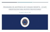 New PROGRAMA DE ASISTENCIA DE CUIDADO INFANTIL (CCAP) … · 2020. 7. 22. · programas de cuidado infantil, preescolares, cuidado infantil familiar y centros Head Start y Programas