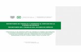 New SECRETARÍA DE TRABAJO Y FOMENTO AL EMPLEO … · 2020. 8. 5. · para el cumplimiento de las obligaciones fiscales, para prevenir la propagación del COVID-19, publicado en la
