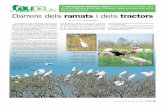 bestiar al damunt Darrere dels ramats i dels tractors · 2009. 7. 9. · L’esplugabous (Bubulcus ibis) deu el seu nom a l’afició que sent per alimentar-se dels insectes i dels
