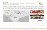 India - tuaregviatges.estuaregviatges.es/pdfs/viajar_a_india_6868.pdf · Junglas urbanas, desiertos de arena y el río Ganges como punto de referencia. Mil millones de habitantes