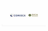 La Institucionalidad del SICA y el - observatoriorh · 2019. 3. 12. · General del SICA y la Secretaría Ejecutiva del COMISCA. Artículo20-ReglamentoCOMISCA01 Reglamento de Organización