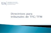 Directrices para tribunales de TFG/TFM · Normativa sobre los trabajos de fin de grado/trabajos fin de máster en la UA (BOUA 31 de octubre de 2012) El TFG/TFM será un trabajo original,