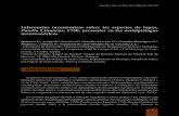 Inferencias taxonómicas sobre las especies de lapas ... · Inferencias taxonómicas sobre las especies de lapas, Patella Linnaeus, 1758, presentes en los archipiélagos... 268 “excesiva