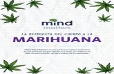 Mind Matters: La respuesta del cuerpo a la marihuana · 2020. 8. 5. · marihuana y entonces te sientes mal si no la consumes. Tal vez consumas marihuana todo el tiempo nada más