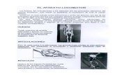 2013 AP.LOCOMOTOR 2020. 7. 18. · EL APARATO LOCOMOTOR Los huesos, las articulaciorzs y tos múscutos Son los principales elementos del aparato locomotor. Cuya misión es posibilitar