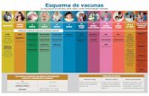 Esquema de vacunas - igssgt.org · Esquema de vacunas La vacunación es efectiva, salva vidas y evita enfermedades mortales. Hepatitis B Tres dosis: Segunda dosis, 1 mes después