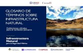 GLOSARIO DE TÉRMINOS SOBRE INFRAESTRUCTURA ......proyectos ecosistémicos. Este glosario junta definiciones aprobadas por el Ministerio del Ambiente del Perú en los “Lineamientos