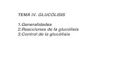 TEMA IV. GLUCÓLISIS 1.Generalidades 2.Reacciones de la ...depa.fquim.unam.mx/amyd/archivero/Glucolisis_25216.pdf · TEMA IV. GLUCÓLISIS 1.Generalidades 2.Reacciones de la glucólisis
