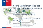 X Foro Latinoamericano del Carbono Ciudad de Panamá · 2016. 10. 4. · X Foro Latinoamericano del Carbono – Ciudad de Panamá Sesión: Mercados de Carbono y Desarrollo: la experiencia