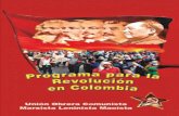 Programa para la Revolución en Colombiasia y China, de la Gran Revolución Cultural Proletaria en China, en últimas, de la necesidad de la Dictadura del Proletariado; teorías que