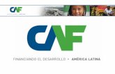 Transporte y Cambio Climático - latincarbon.com · Transporte y Cambio Climático Corporación Andina de Fomento Programa Latinoamericano de Carbono, Energías Limpias y Alternativas