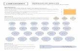 MEDIDOR DE ANILLOS MIDES LA - Lineargent · MEDIDOR DE ANILLOS Instrucciones para saber la medida de un anillo BIEN NO 53 16,8 mm NO 59 18,7 mm NO 64 20,3 mm NO 70 22,3 mm 810 1416