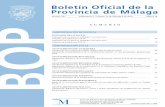 Boletín Oficial de la Provincia de Málaga: BOP 237 (suplemento … · 2019. 12. 13. · Refundido de la Ley General de derechos de las personas con discapacidad y de su inclusión