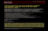 BRAIN - WordPress.com · inﬂuences neuronal migration in the developing rat cerebral cortex. Analysis of the human wild-type and mutant SRPX2 pro-teins indicated that an impairment