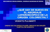 ¿QUÉ HAY DE NUEVO EN EL ABORDAJE LAPAROSCÓPICO DE LA ...sociedadvalencianadecirugia.com/.../03/novedades_cirugia_laparosc… · CIRUGIA LAPAROSCOPICA PATOLOGIA BENIGNA: ... la