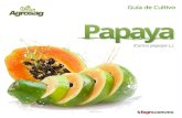 01 - Fagrofagro.mx/wp-content/uploads/2017/08/PAPAYA-GUIA.pdfEl peso del fruto maduro varía entre uno y tres kilos. El estado de recolección se alcanza cuando Ios frutos empiezan