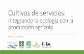 Integrando la ecología con la producción agrícolacultivosdeservicios.agro.uba.ar/wp-content/uploads/... · Reducir la erosión • Rápido crecimiento para generar cobertura temprana