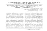 Comportamiento reproductivo de un hato Angus en el Bajío ...ww.ucol.mx/revaia/portal/pdf/2012/sept/4.pdf · del rancho se introdujo el pasto Kikuyo (Pennisetum clandestinum). Descripción