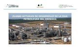(2014-02-14) SOLER planes desarrollo faja petrolifera orinoco · CÁTEDRA KONRAD ADENAUER ECOLOGÍA Y ECONOMÍA UCAB (Machete) (Zuata) (Hamaca) (C. Negro) Área: 55.000 2Km MMMBLS