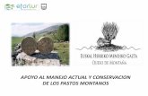 APOYO AL MANEJO ACTUAL Y CONSERVACION DE LOS …Apoyo al manejo actual y conservación de los pastos montanos: Diferentes situaciones en la conservación de los pastos: Unidades de