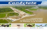 La vía se construye con La Autopista al Río Magdalena 2 ... · la variante de Puerto Berrío, se realizaron capacitaciones sobre la importancia de la fauna y su adecuada preservación.