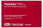 REUNIÓN ANUAL TERCEL 2019 · conferencia - lÍnea de colaboraciÓn 2 tÍtulo. estudio preclÍnico en lesiÓn medular traumÁtica crÓnica: trasplante de cÉlulas humanas mesenquimales