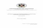 UNIVERSIDAD DE GRANADAhera.ugr.es/tesisugr/20513811.pdf · Editor: Editorial de la Universidad de Granada Autor: Óscar Jerez Yáñez D.L.: GR 1131-2012 ISBN: 978-84-695-1027-8