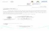Gobierno del Estado de Quintana Roo | qroo.gob.mx€¦ · Unidad Médica Móvil "Pelicano" con placas de circulación SZ-4788-G; con km. 120141 por 10 que se autorizan siete dias
