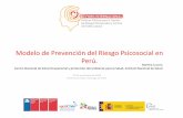 Modelo de Prevención del Riesgo Psicosocial en Perú.(EsSALUD): •Centro de prevención de riesgos del (CEPRIT) (servicio asesoría, asistencia técnica, capacitación). Superinten