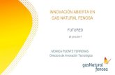 INNOVACIÓN ABIERTA EN GAS NATURAL FENOSAINNOVACIÓN ABIERTA EN GAS NATURAL FENOSA MONICA PUENTE FERRERAS Directora de Innovación Tecnológica FUTURED 23 junio 2017 Empleamos 2 enfoques