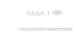 Evaluación en Materia de Diseño al Programa Presupuestario ...tfca.gob.mx/work/models/TFCA/Resource/433/1/images/... · EVALUACIÓN EN MATERIA DE DISEÑO PROGRAMA PRESUPUESTARIO